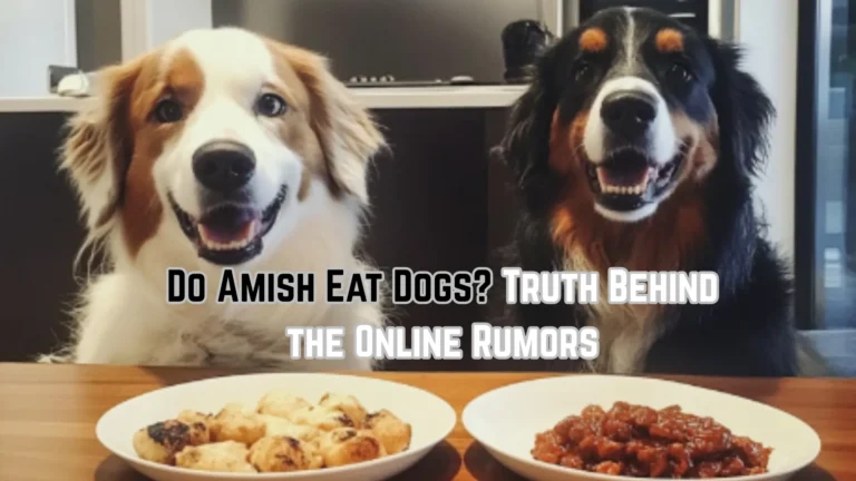 do amish eat dogs