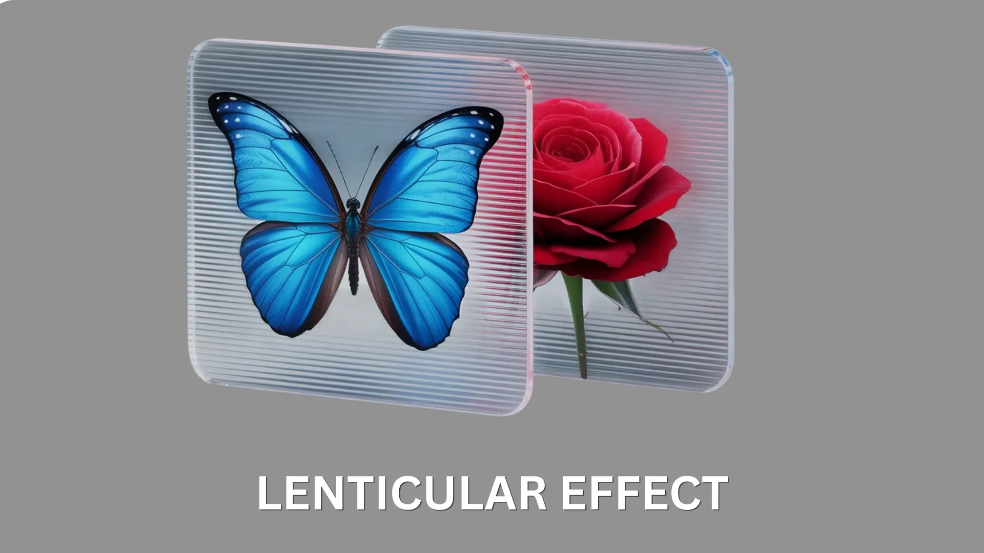 lenticular effect