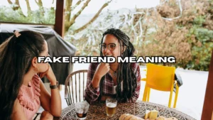 Fake Friend Meaning
