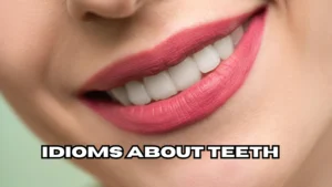 Idioms About Teeth