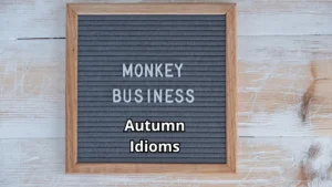 Autumn Idioms